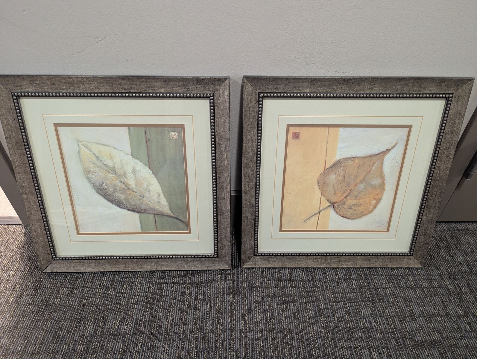Two Framed Leaf Prints