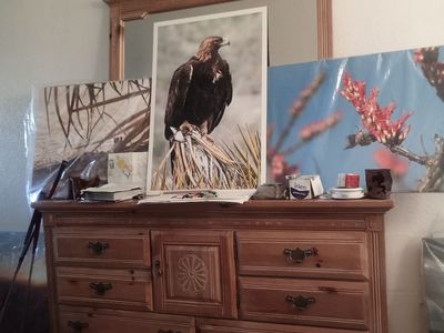 Midvale Shared Single Bedroom in 2 Bdrm Apt. Midvale Golf, Photography, Outdoor Adventurist Disabled