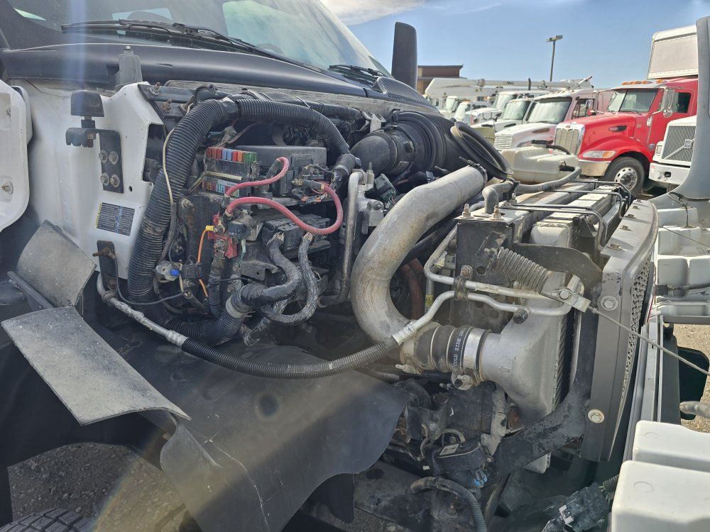 Main image 5
