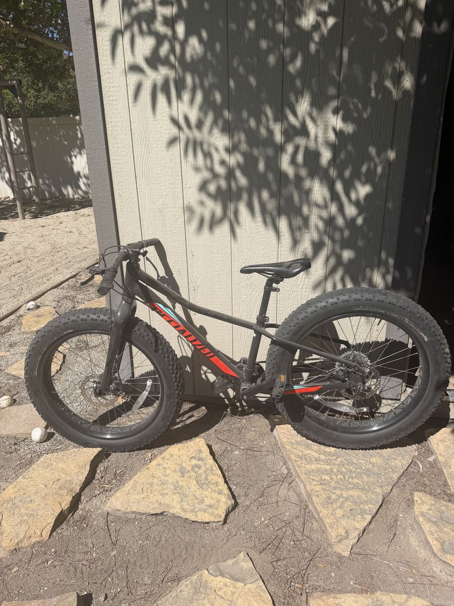 Specialized Fat Tire Mountain Bike 20''