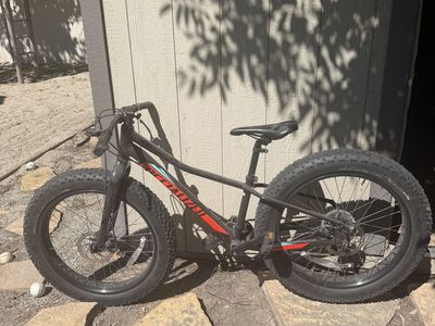 Specialized Fat Tire Mountain Bike 20''