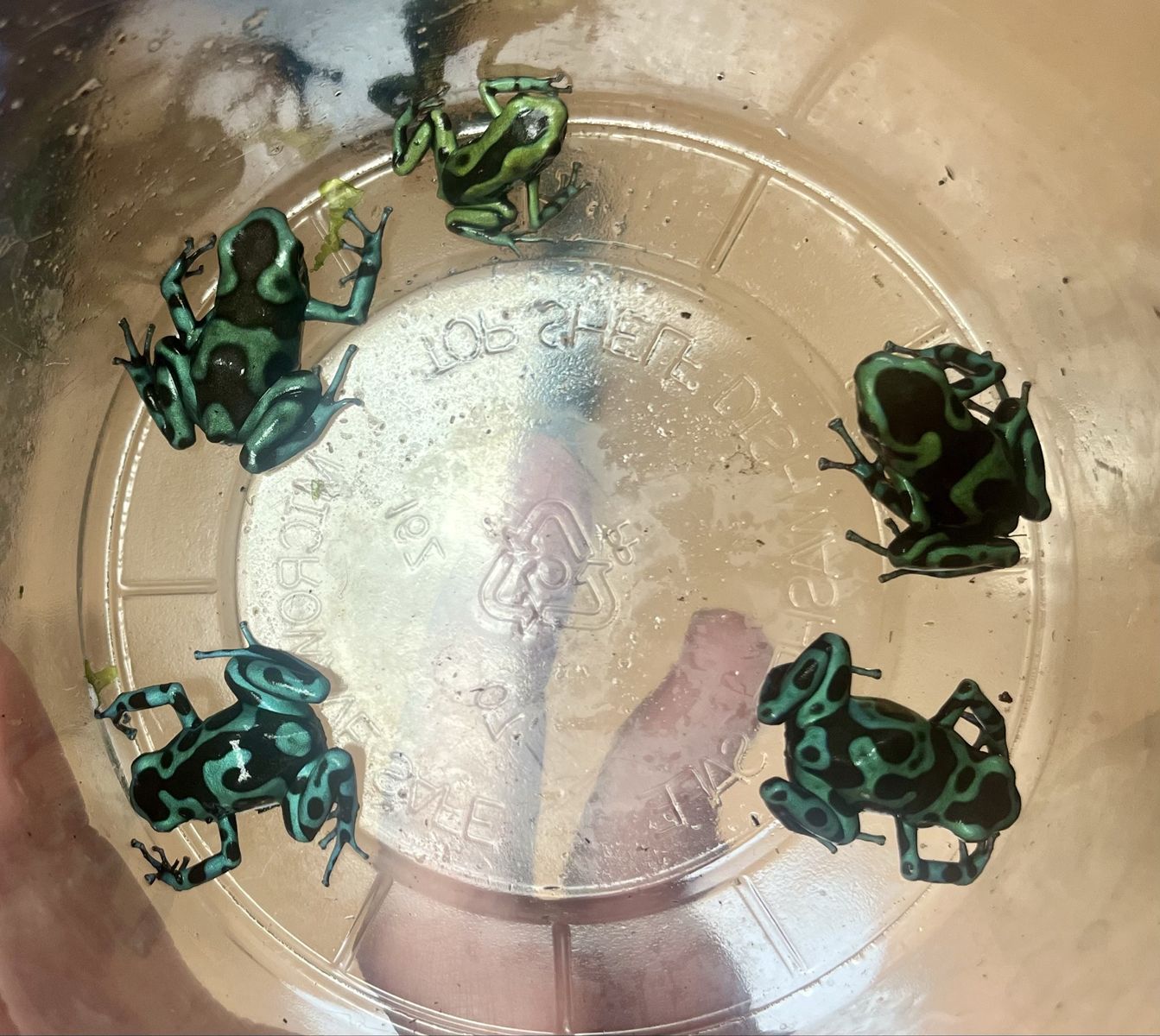Main image 4