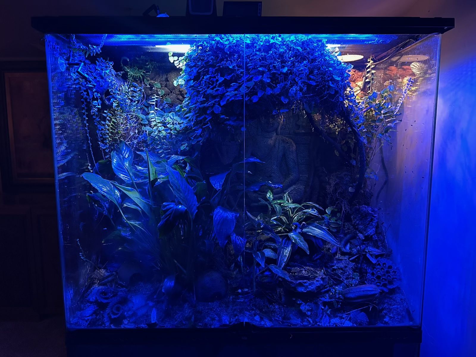 Main image 7