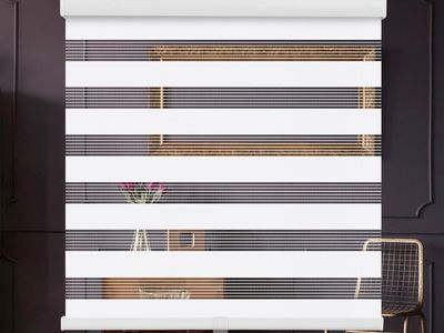 SMONTER Zebra Roller Blind Light Filtering Dual Layer Window Shade Whit 54X X72