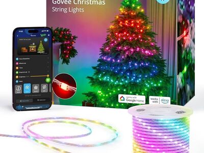 Govee String Lights