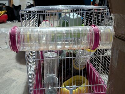 animal critter House