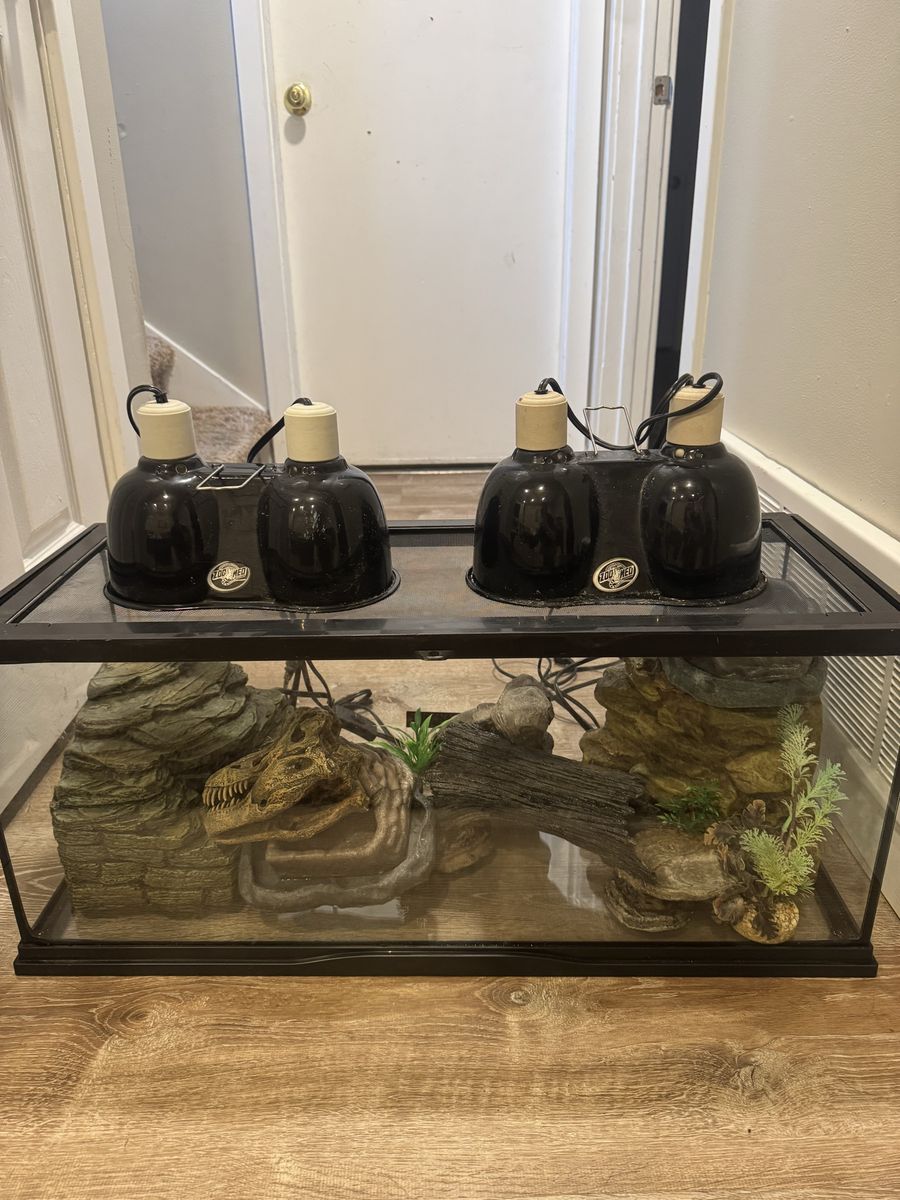 Reptile tank with lamps and accessories.
