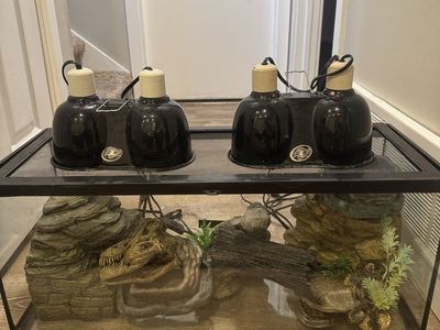 Reptile tank with lamps and accessories.