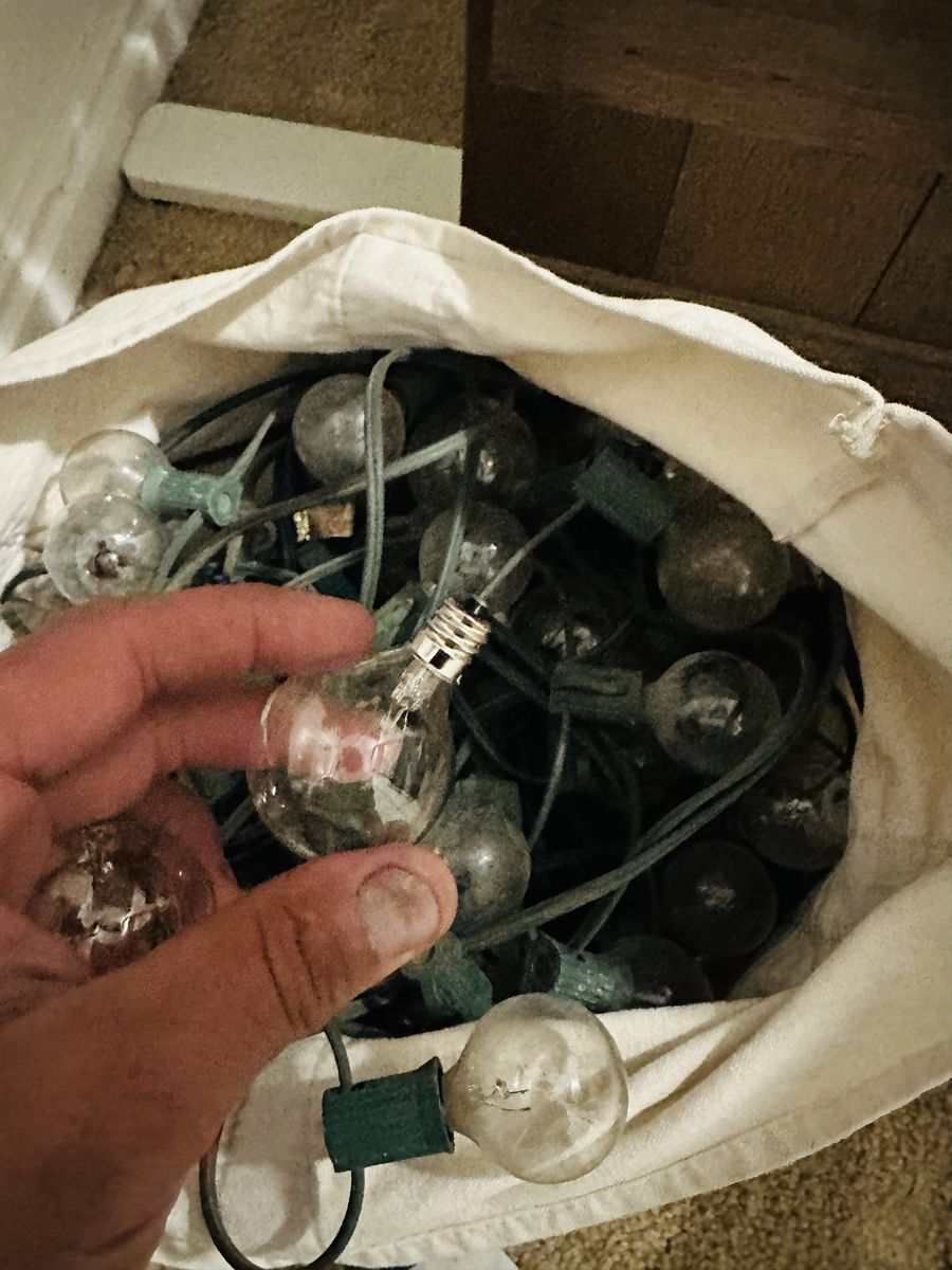Bag of G40 Clear Globe String Lights - Indoor/Outdoor Patio & Party Decor