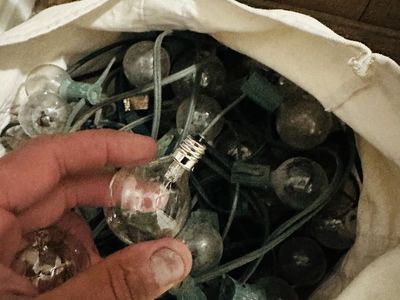 Bag of G40 Clear Globe String Lights - Indoor/Outdoor Patio & Party Decor