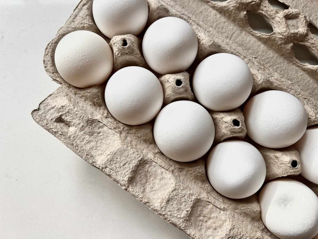 Farm Fresh Eggs