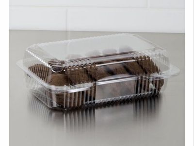 Clear hinged plastic containers