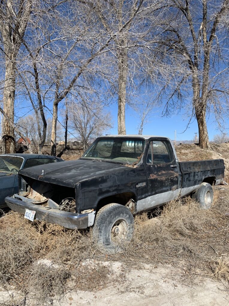 Square Body Roller Send An Offer