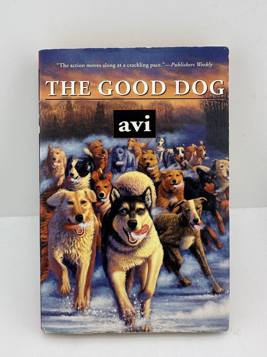 The Good Dog Avi Paperback 2003 Aladdin Kids Book Dog Story