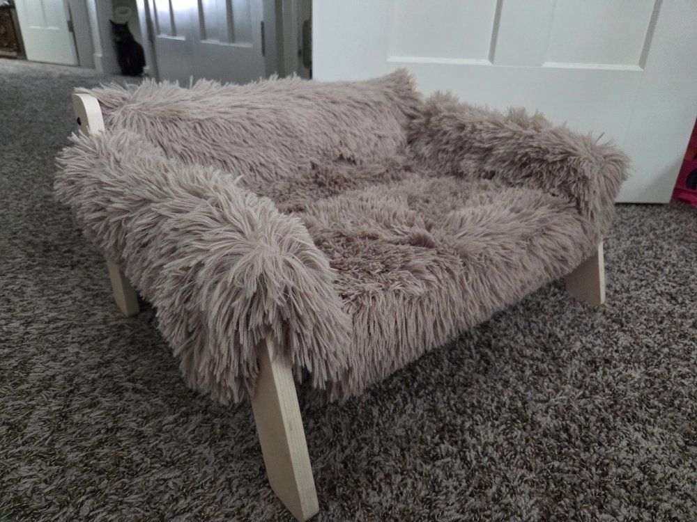 cat couch