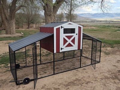 Heavy-Duty Chicken Coop