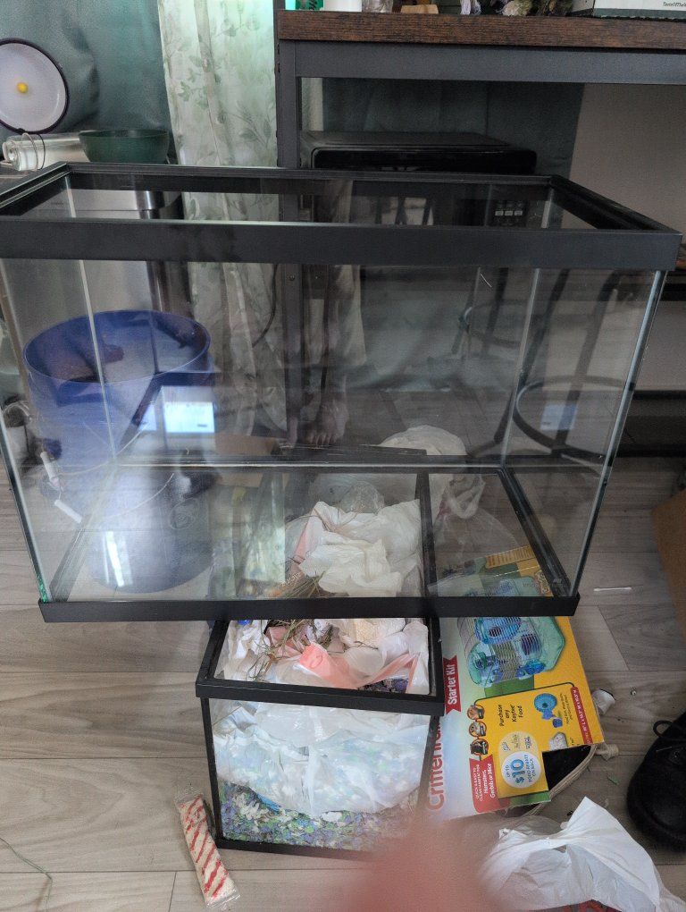 29 gallon tank