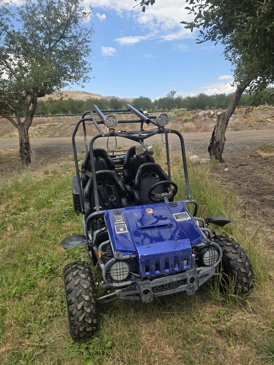 Go Kart 4-Seater Off-Road Buggy - Blue, Fun for the Whole Family