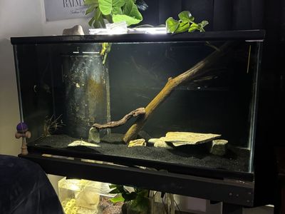 90 gallon full set up