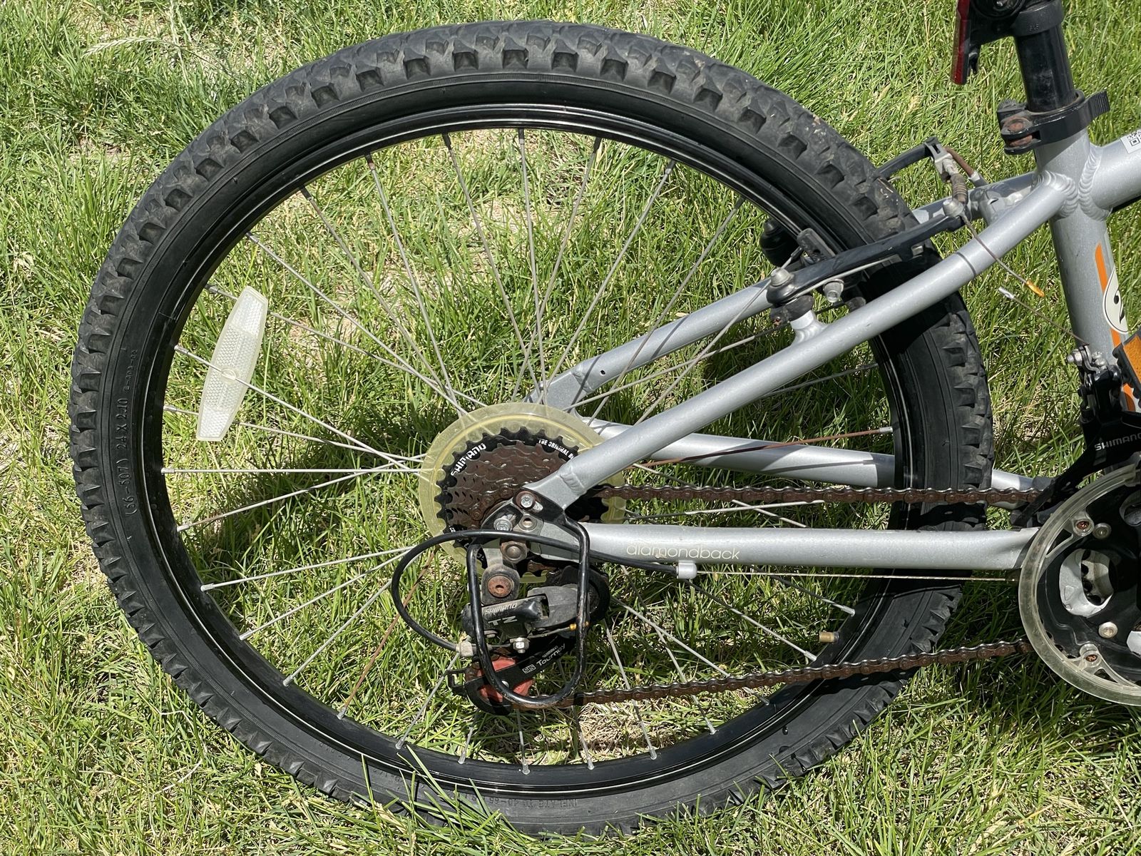 Main image 8