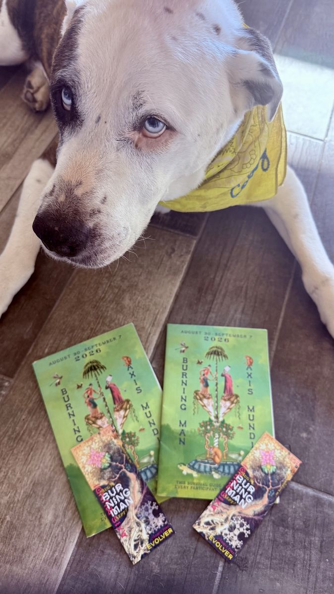 Two 2026 Burning Man Tickets (face value)