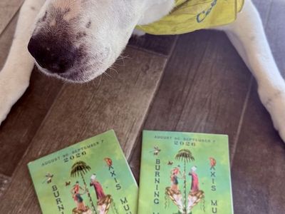 Two 2026 Burning Man Tickets (face value)