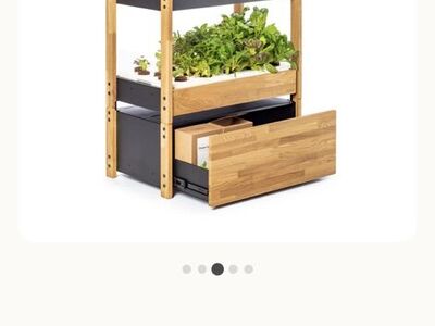 Indoor Greenhouse Garden