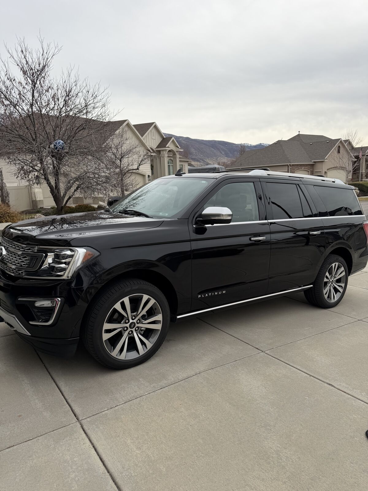 2020 Ford Expedition Max Platinum