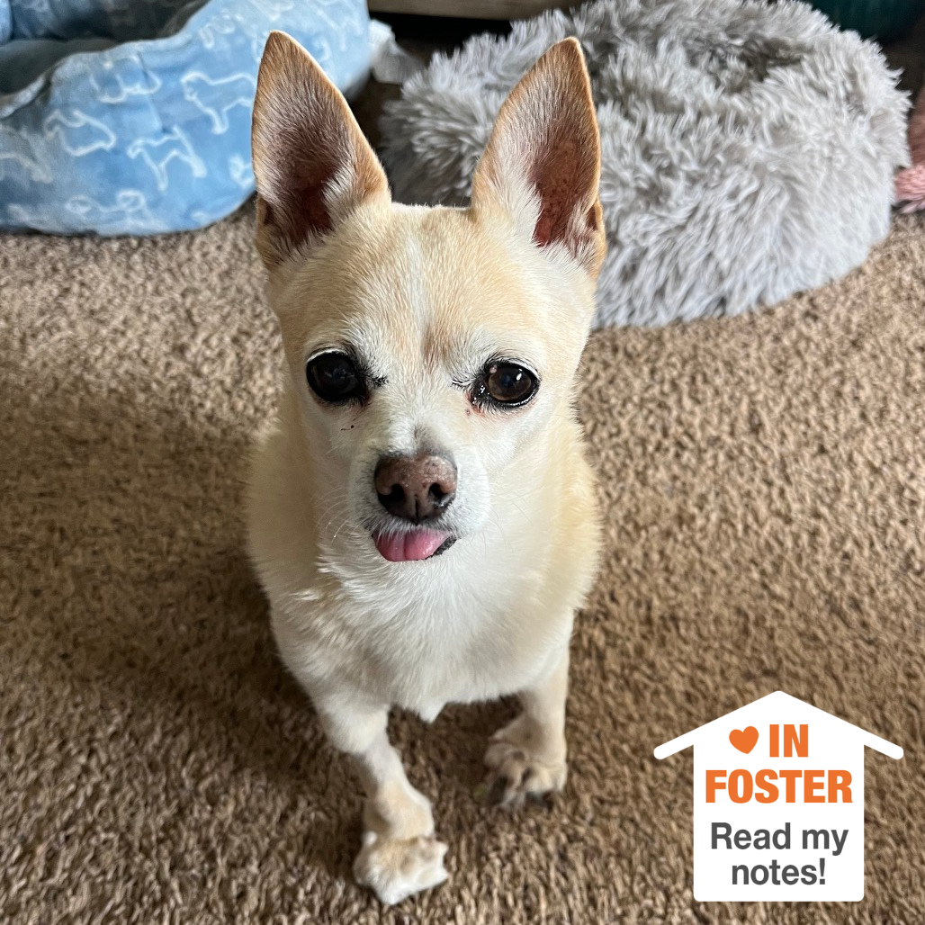 Hello my name is Happy