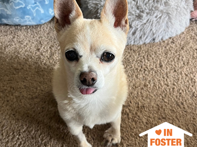 Hello my name is Happy