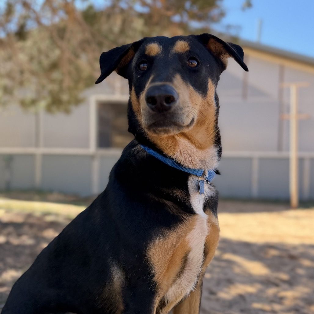 Hello my name is Benson