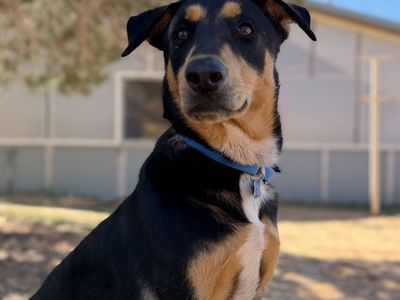 Hello my name is Benson