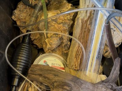 Spare aquarium rocks
