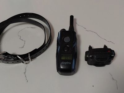 Dogtra 280c dog collar