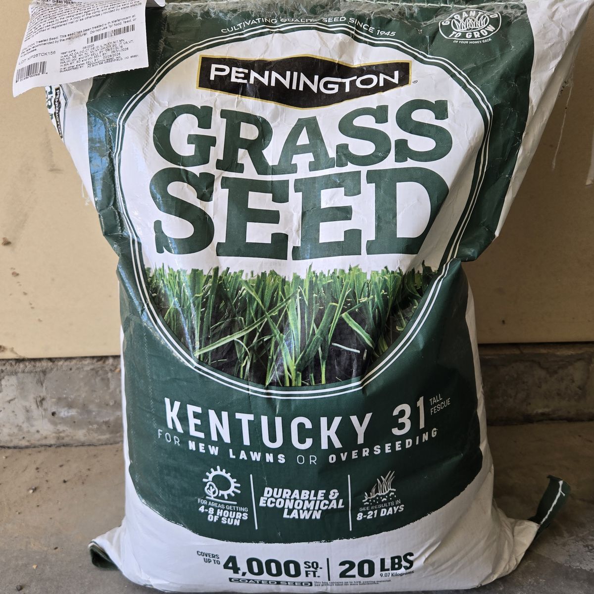 Grass Seed - 20 lbs