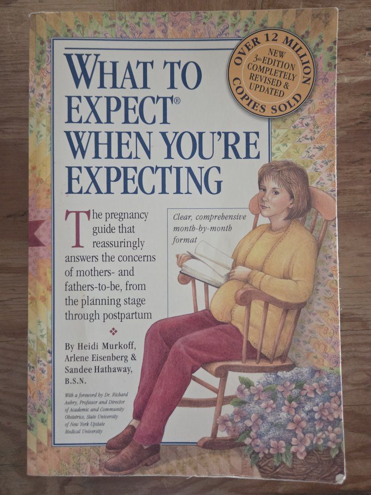 What To Expect: The First Year & When You're Expecting (2 Book Set) - Parenting Guides