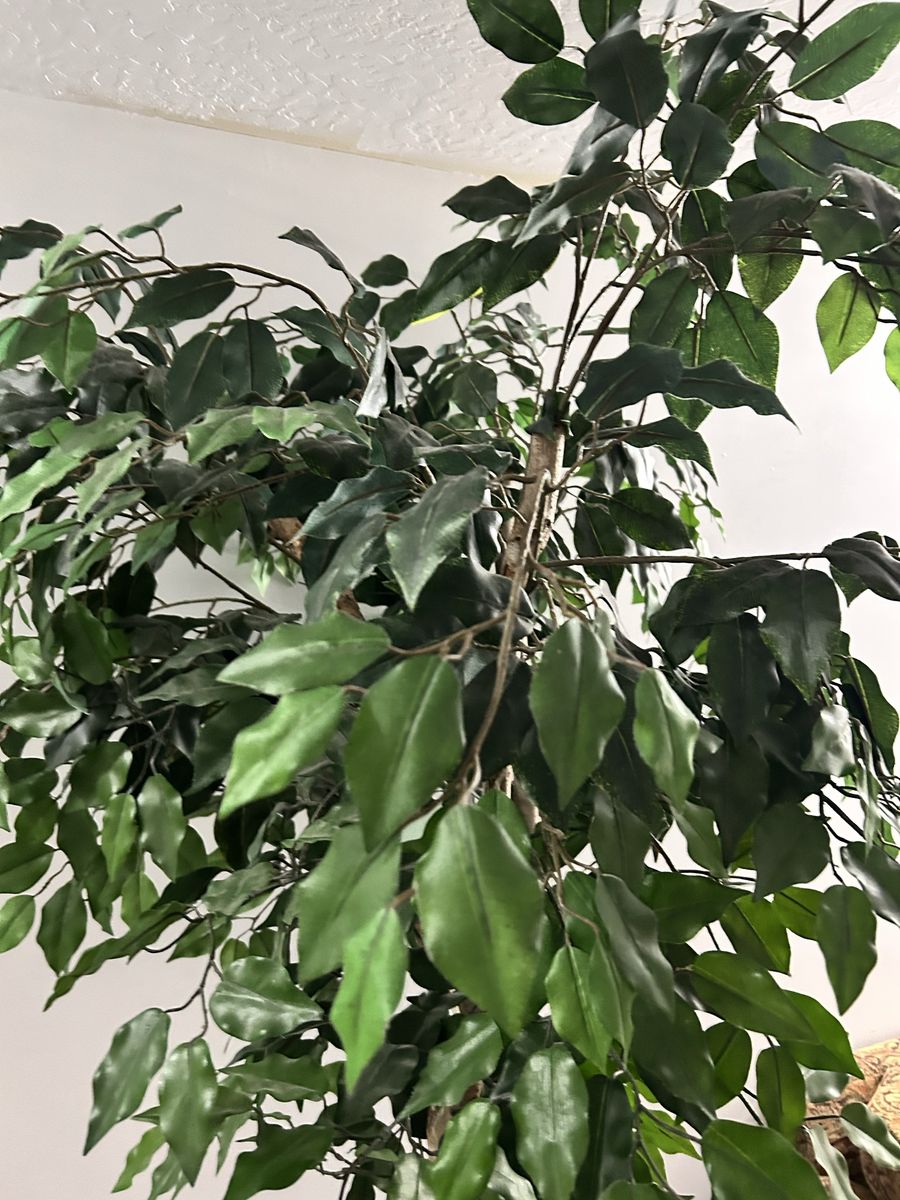 Main image 3
