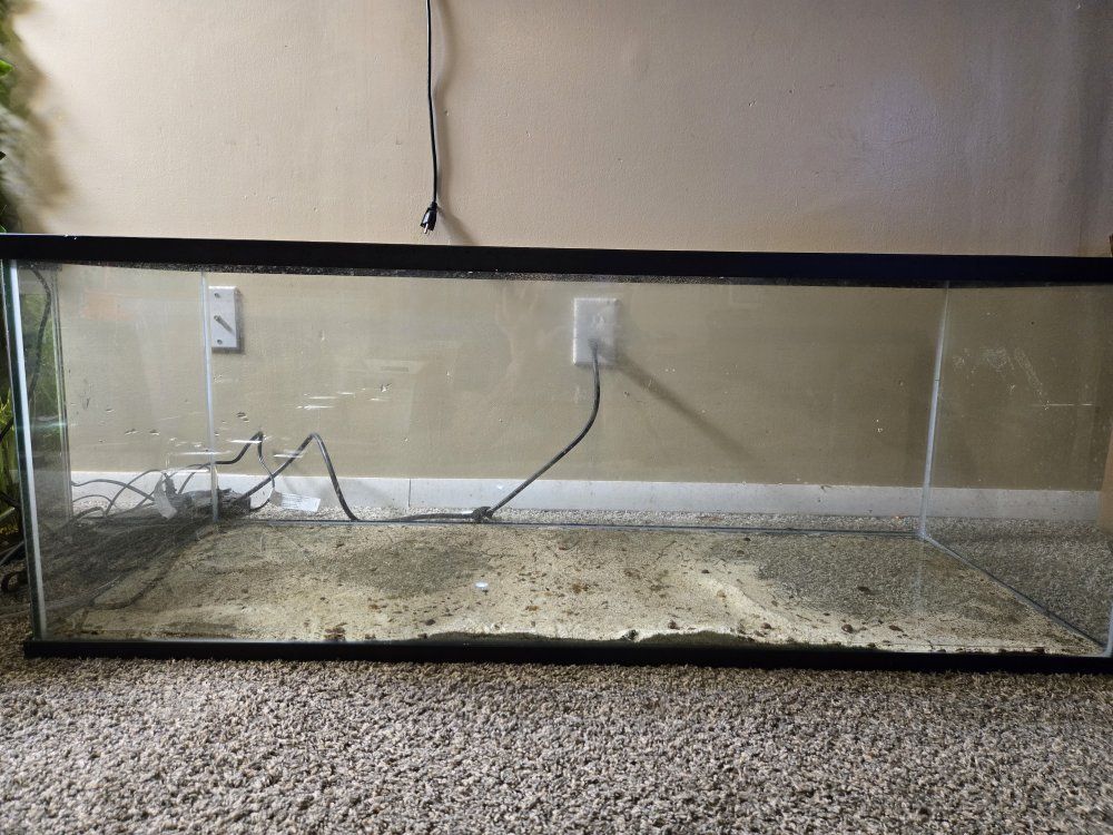 60 gallon breeder aquarium