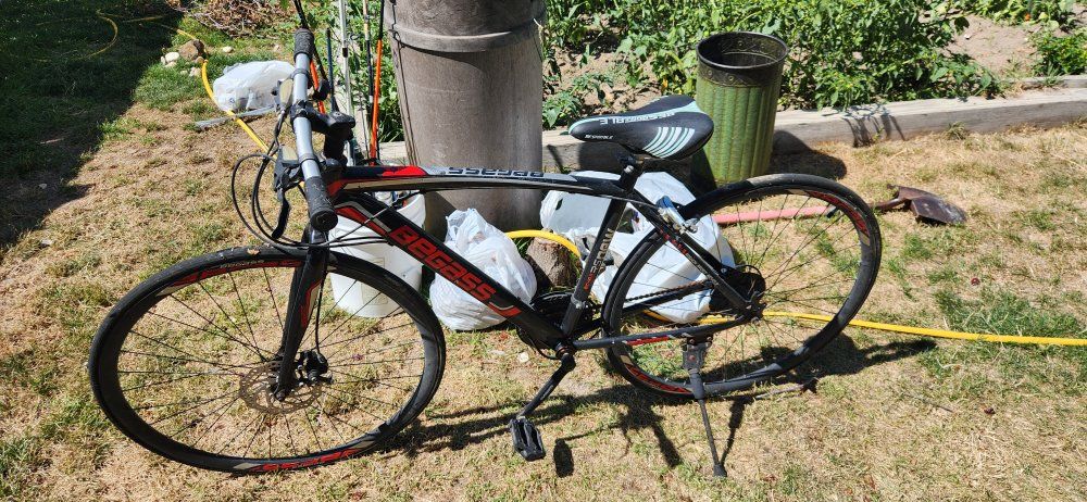 Pegass Mountain Bike with Shimano Components, ZOOM Handlebars - Needs Repair