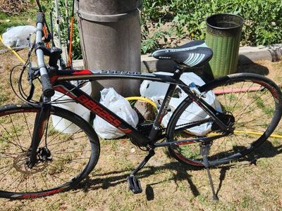 Pegass Mountain Bike with Shimano Components, ZOOM Handlebars - Needs Repair