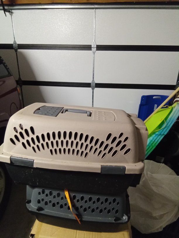 small and medium pet carrier