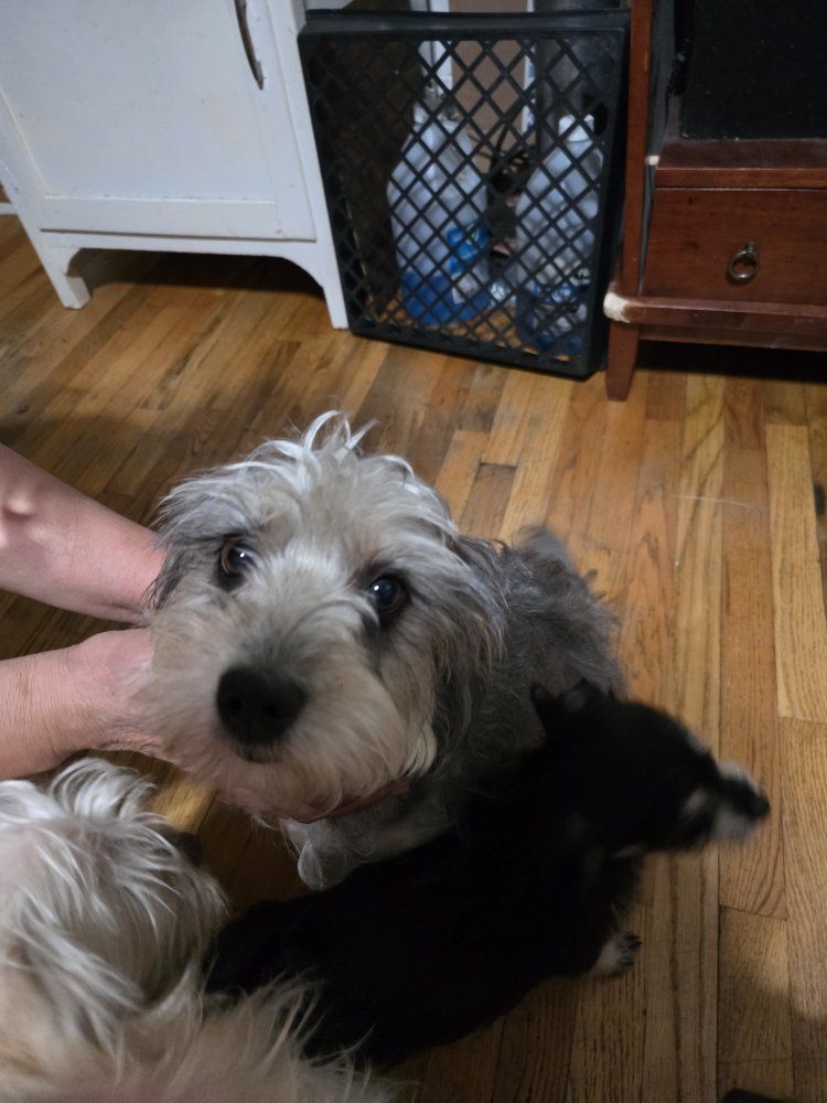 Main image 6