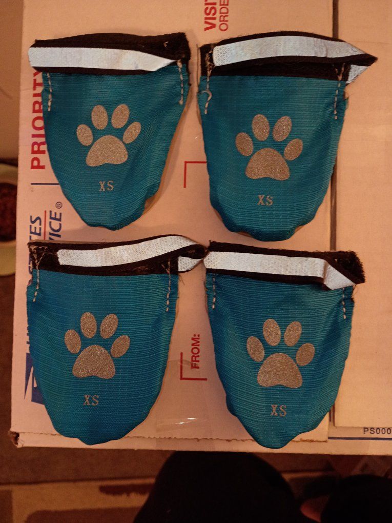 XS Dog Boots