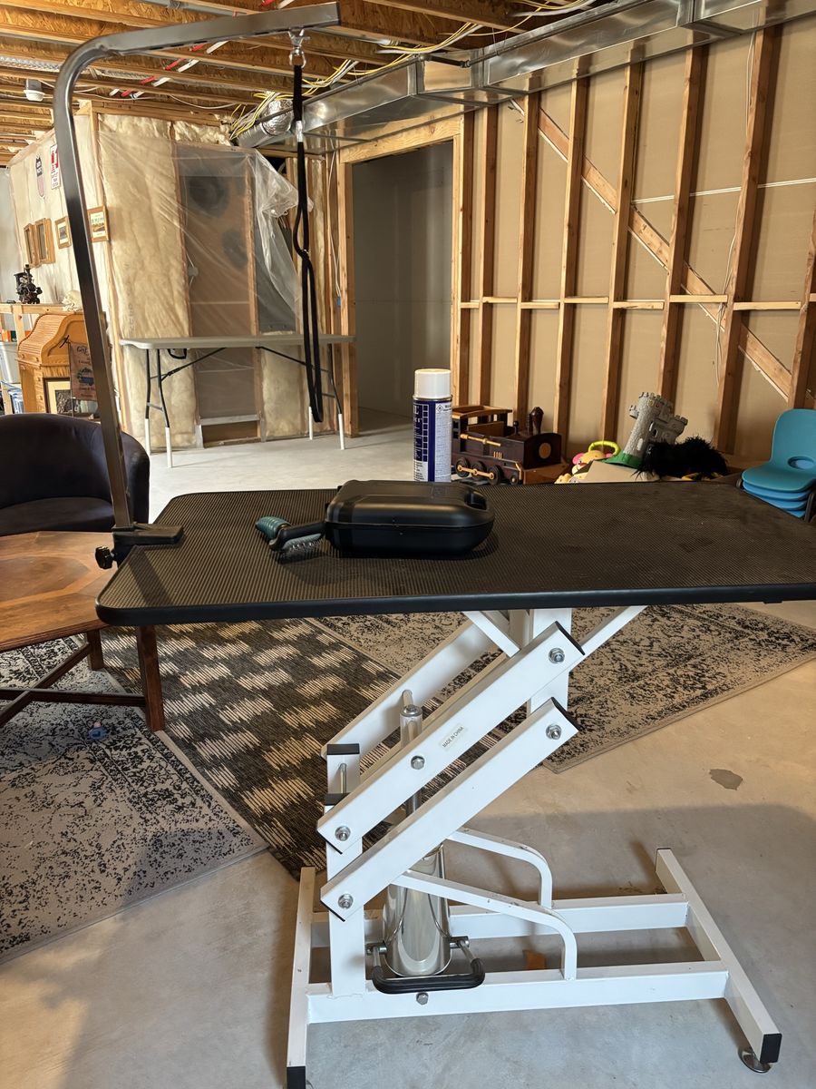 Hydraulic Pet Grooming Table with Adjustable Arm and Noose