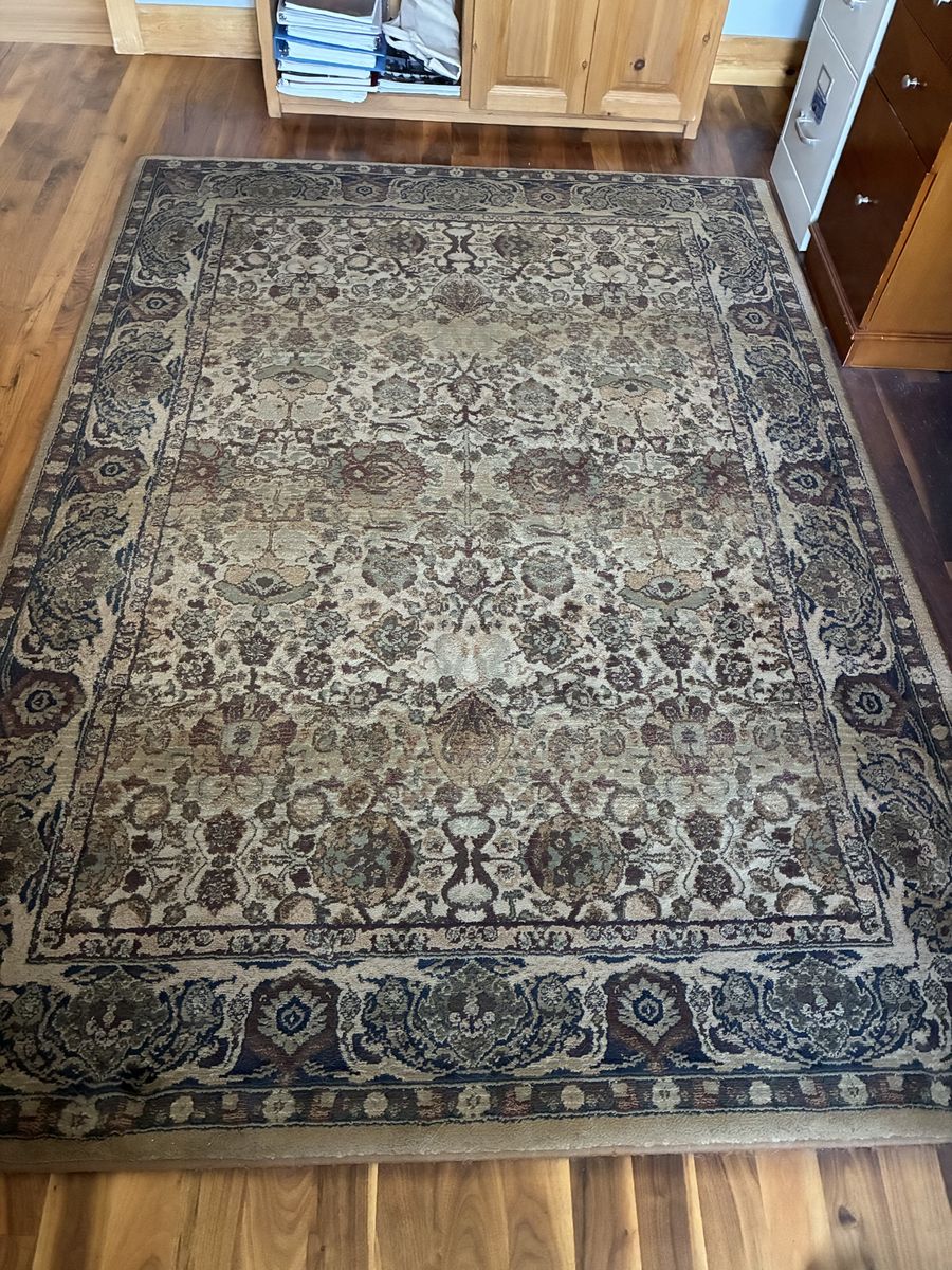 Persian style area rug