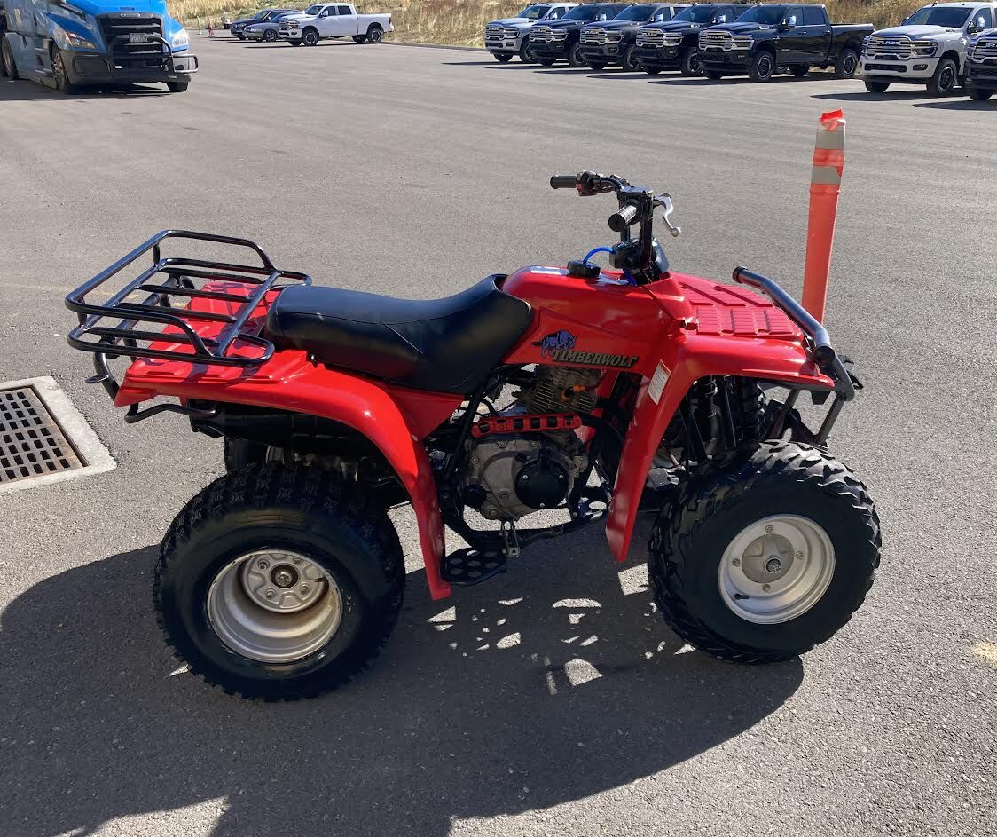 1994 Yamaha Timberwolf