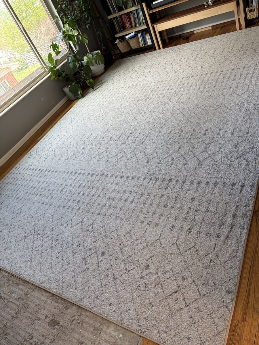 10x14 rug