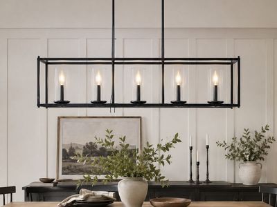 Barely Used Light Fixture