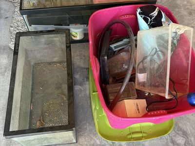 2 Glass Fish Tanks & Terrarium with Assorted Supplies - Used Aquariums & Accessories
