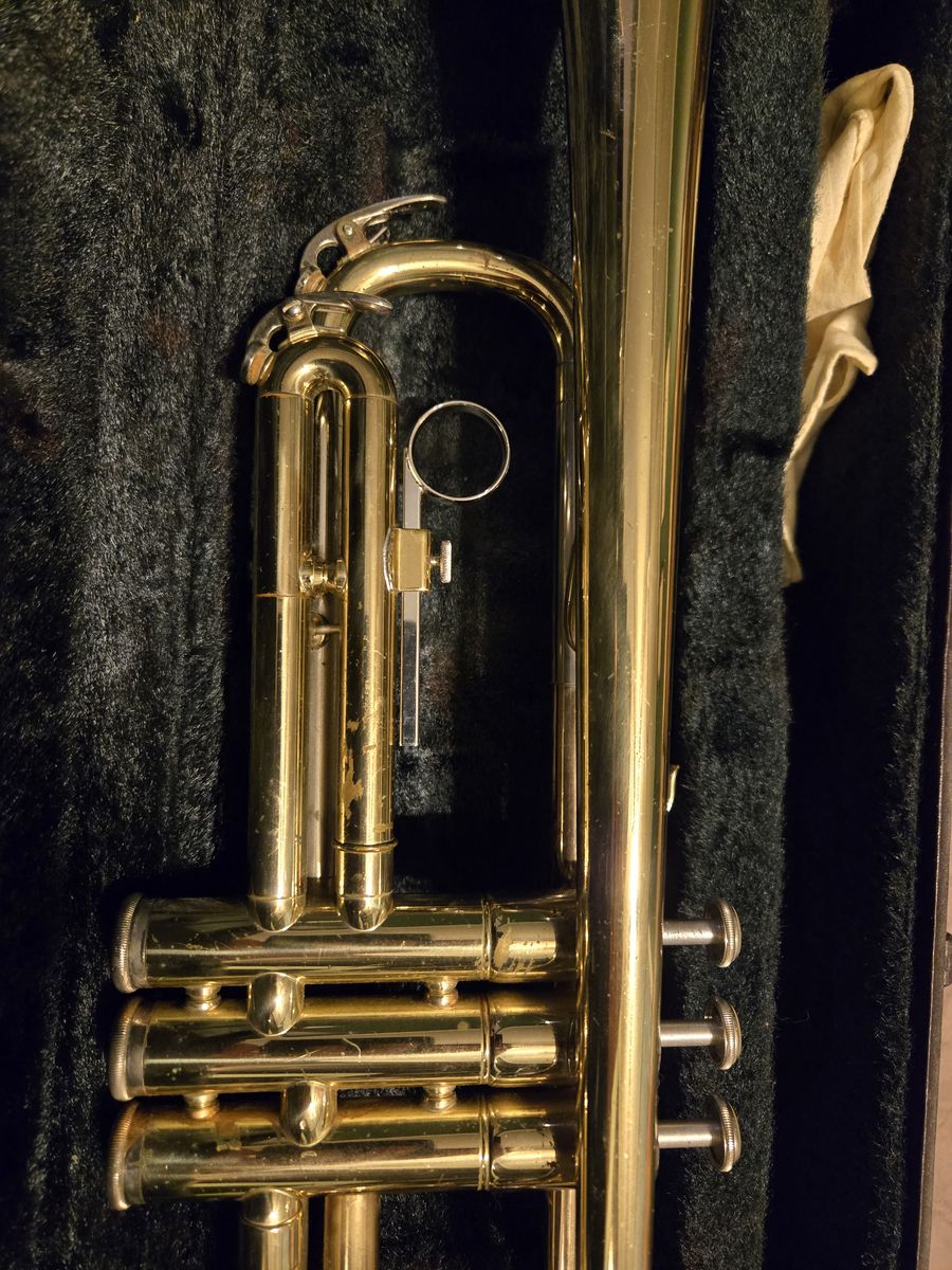 Main image 7